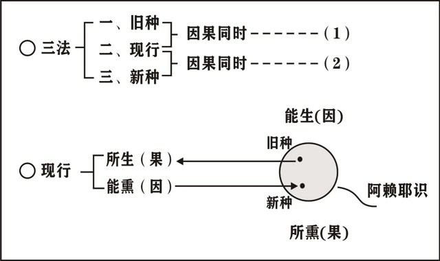 編ʦΨʶѧҪ