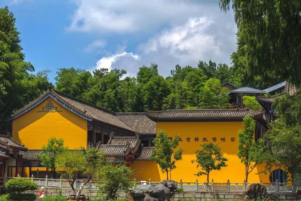 初学坐禅，先要学会放松