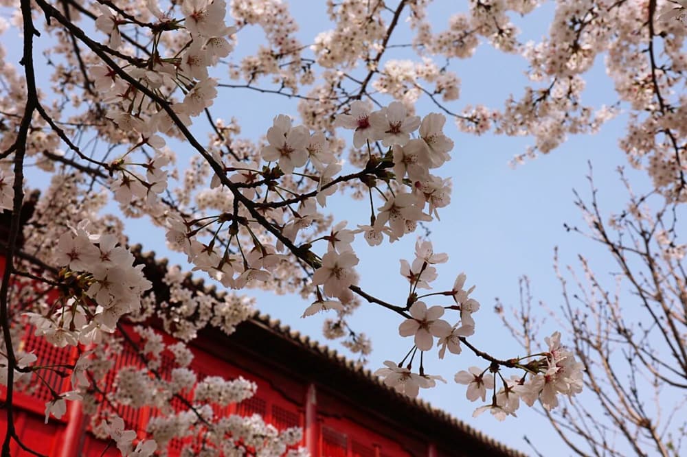 �����١���ʲô��˼������ʱ��Ҫ���뵤��ʲô������