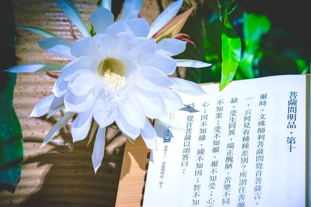 �ú÷��ģ���ɱ�����ҵ��ת��