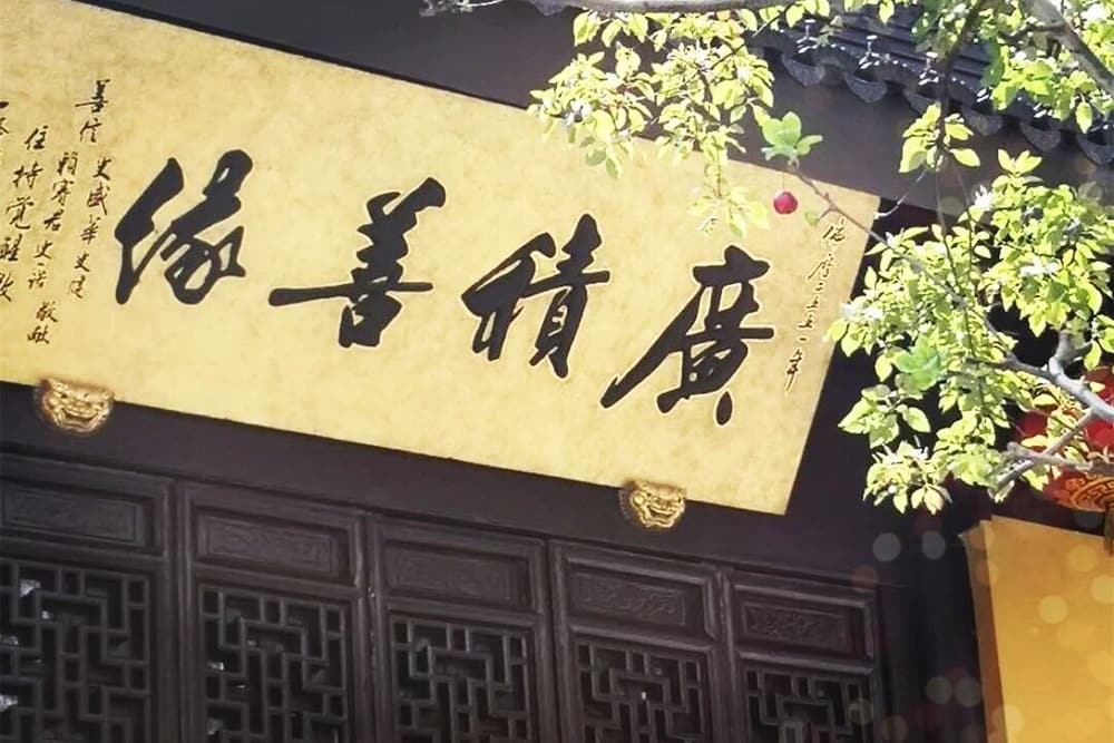 遇到菜市场的鱼虾、路边的猫狗,请为它们念这些佛号