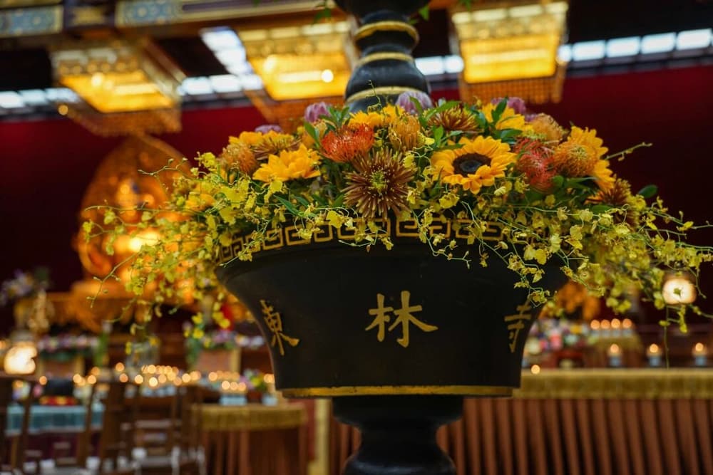 �������˯����