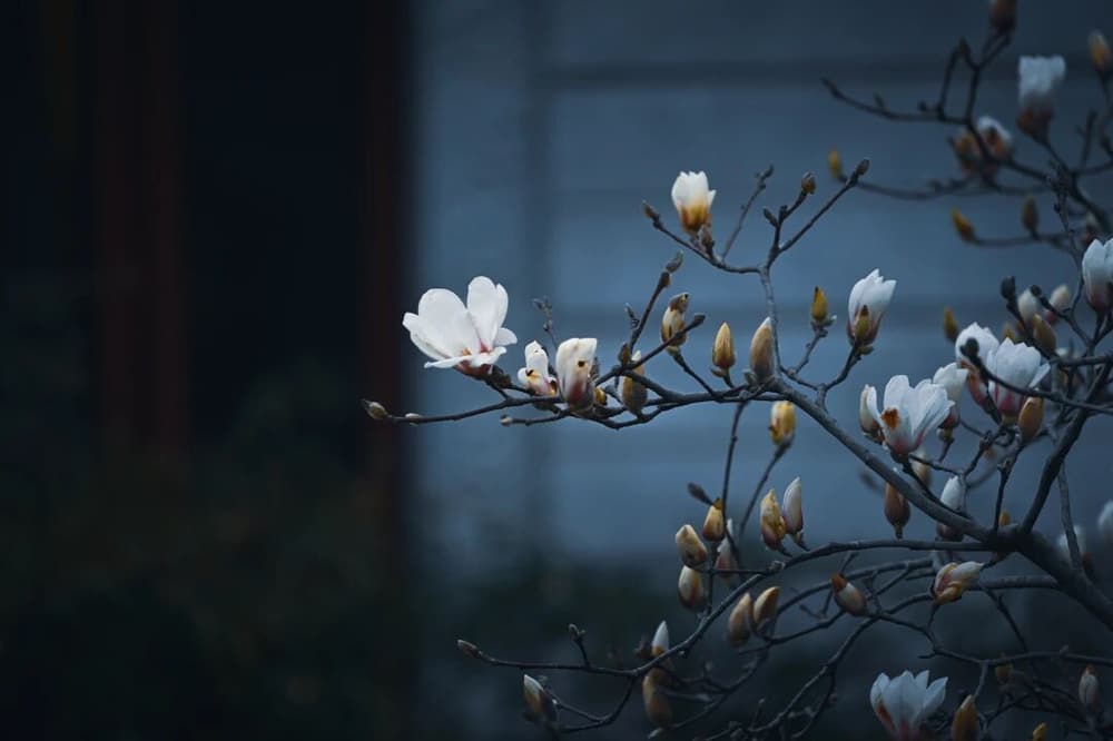 ��������Ь���࣬��֪���촩����