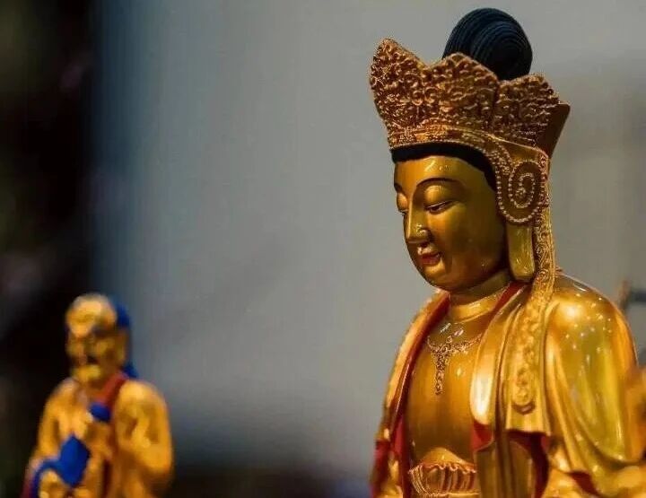 ӡ�潲���¡����������